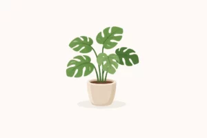 Vingerplant